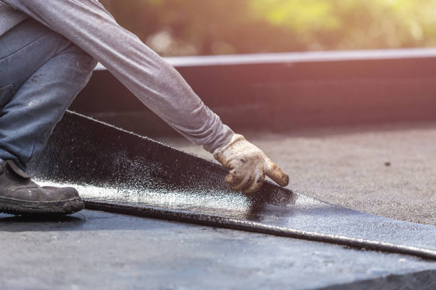 Wet basement repair process in Leesburg, OH